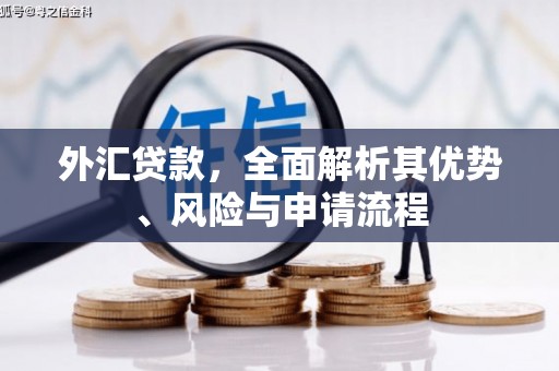 锡林郭勒盟外汇贷款，全面解析其优势、风险与申请流程