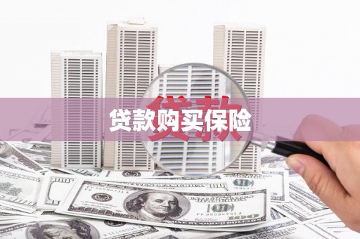 锡林郭勒盟贷款购买保险