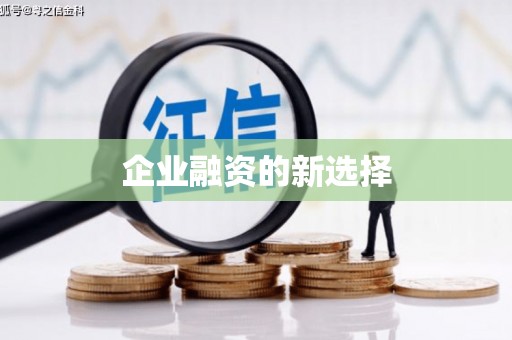 锡林郭勒盟企业融资的新选择