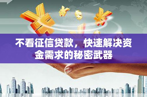锡林郭勒盟不看征信贷款，快速解决资金需求的秘密武器