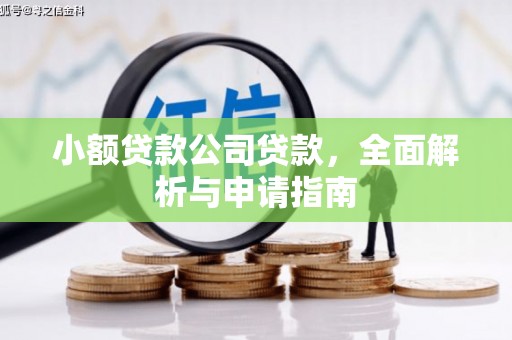 锡林郭勒盟小额贷款公司贷款，全面解析与申请指南