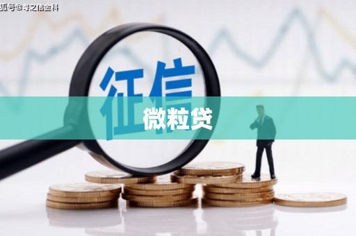 锡林郭勒盟微粒贷