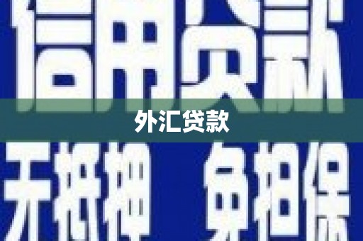 锡林郭勒盟外汇贷款