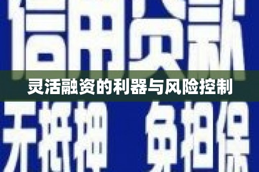 锡林郭勒盟灵活融资的利器与风险控制