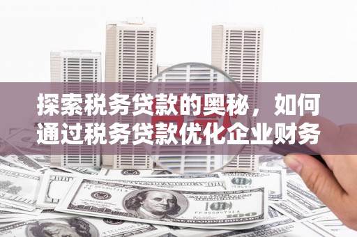 锡林郭勒盟探索税务贷款的奥秘，如何通过税务贷款优化企业财务