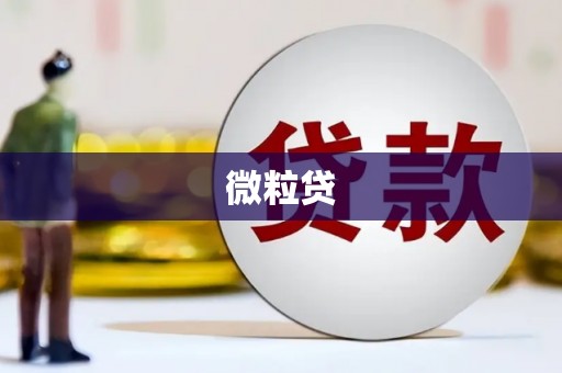 锡林郭勒盟微粒贷