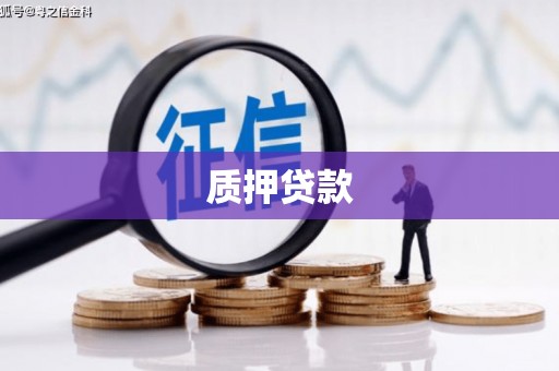 锡林郭勒盟质押贷款