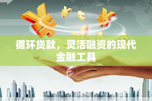 锡林郭勒盟循环贷款，灵活融资的现代金融工具