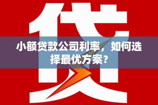 锡林郭勒盟小额贷款公司利率，如何选择最优方案？