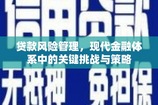 锡林郭勒盟贷款风险管理，现代金融体系中的关键挑战与策略