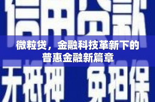 锡林郭勒盟微粒贷，金融科技革新下的普惠金融新篇章