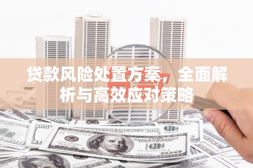 锡林郭勒盟贷款风险处置方案，全面解析与高效应对策略