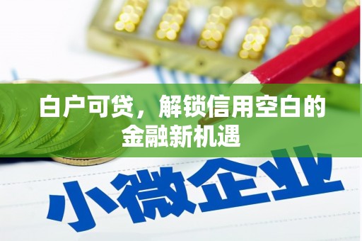 锡林郭勒盟白户可贷，解锁信用空白的金融新机遇
