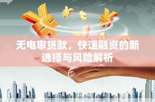 锡林郭勒盟无电审贷款，快速融资的新选择与风险解析
