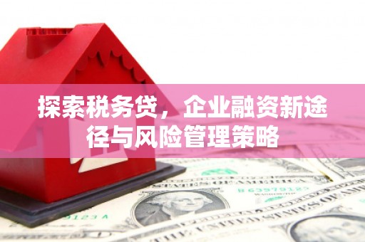 锡林郭勒盟探索税务贷，企业融资新途径与风险管理策略