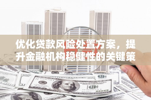 锡林郭勒盟优化贷款风险处置方案，提升金融机构稳健性的关键策略