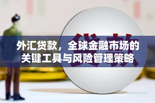 锡林郭勒盟外汇贷款，全球金融市场的关键工具与风险管理策略