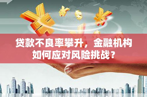 锡林郭勒盟贷款不良率攀升，金融机构如何应对风险挑战？