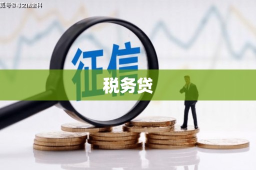 锡林郭勒盟税务贷