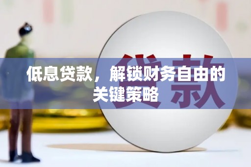 锡林郭勒盟低息贷款，解锁财务自由的关键策略
