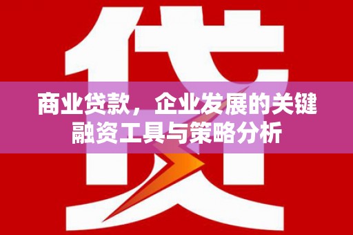 锡林郭勒盟商业贷款，企业发展的关键融资工具与策略分析