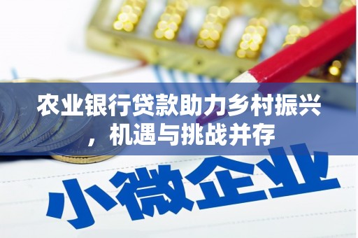 锡林郭勒盟农业银行贷款助力乡村振兴，机遇与挑战并存