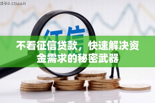 锡林郭勒盟不看征信贷款，快速解决资金需求的秘密武器