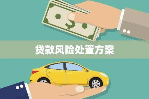 锡林郭勒盟贷款风险处置方案