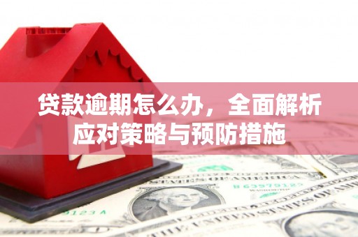 锡林郭勒盟贷款逾期怎么办，全面解析应对策略与预防措施