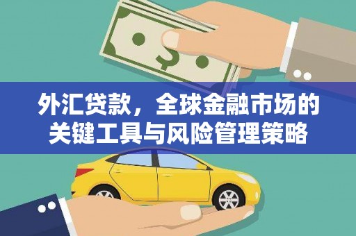 锡林郭勒盟外汇贷款，全球金融市场的关键工具与风险管理策略