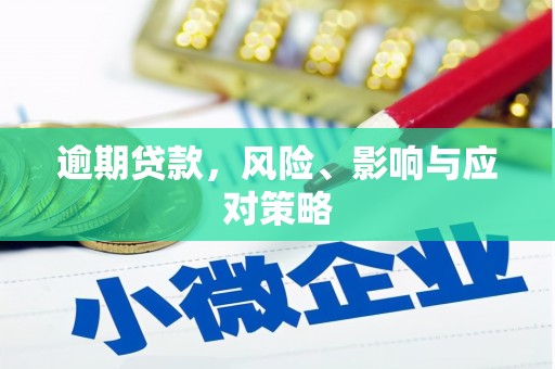锡林郭勒盟逾期贷款，风险、影响与应对策略