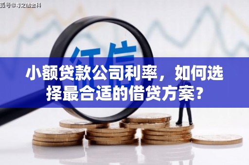 锡林郭勒盟小额贷款公司利率，如何选择最合适的借贷方案？