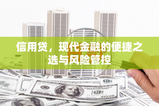 锡林郭勒盟信用贷，现代金融的便捷之选与风险管控