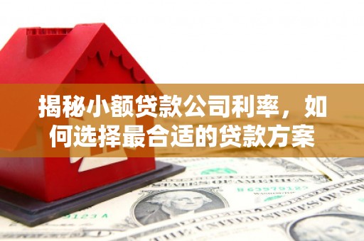 锡林郭勒盟揭秘小额贷款公司利率，如何选择最合适的贷款方案