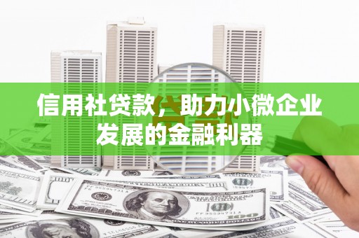 锡林郭勒盟信用社贷款，助力小微企业发展的金融利器