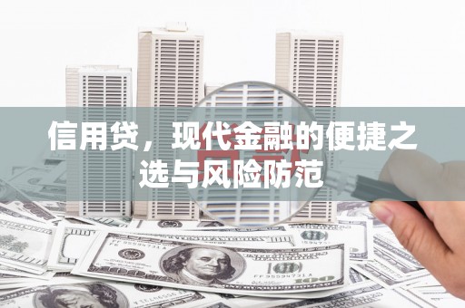 锡林郭勒盟信用贷，现代金融的便捷之选与风险防范