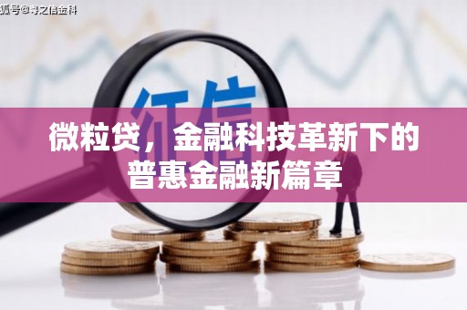 锡林郭勒盟微粒贷，金融科技革新下的普惠金融新篇章