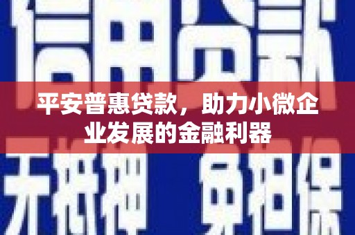锡林郭勒盟平安普惠贷款，助力小微企业发展的金融利器