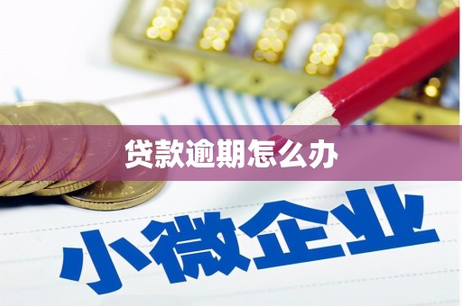 锡林郭勒盟贷款逾期怎么办