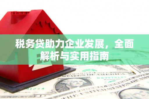 锡林郭勒盟税务贷助力企业发展，全面解析与实用指南