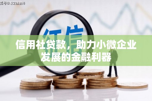 锡林郭勒盟信用社贷款，助力小微企业发展的金融利器