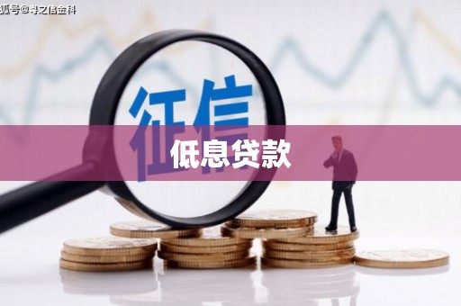 锡林郭勒盟低息贷款