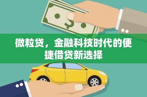 锡林郭勒盟微粒贷，金融科技时代的便捷借贷新选择
