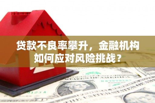 锡林郭勒盟贷款不良率攀升，金融机构如何应对风险挑战？
