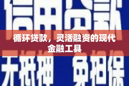 锡林郭勒盟循环贷款，灵活融资的现代金融工具