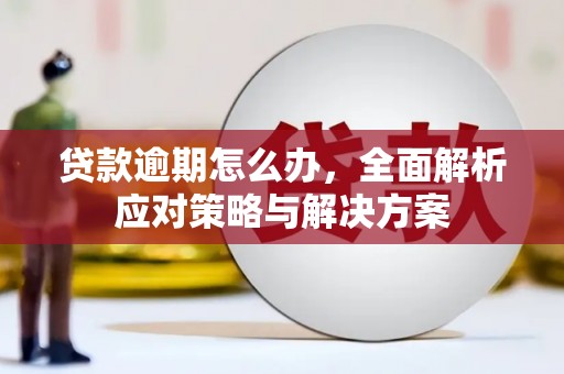 锡林郭勒盟贷款逾期怎么办，全面解析应对策略与解决方案