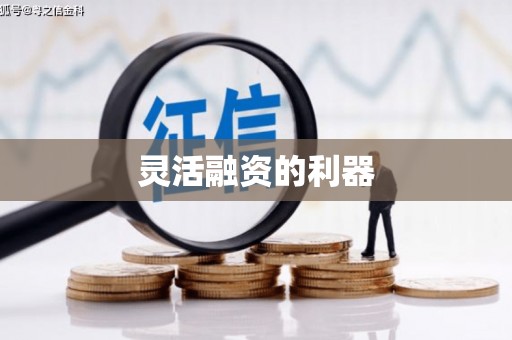 锡林郭勒盟灵活融资的利器