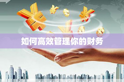 锡林郭勒盟如何高效管理你的财务
