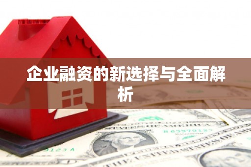 锡林郭勒盟企业融资的新选择与全面解析