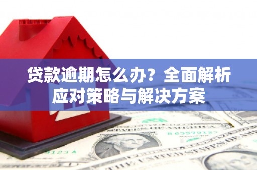 锡林郭勒盟贷款逾期怎么办？全面解析应对策略与解决方案